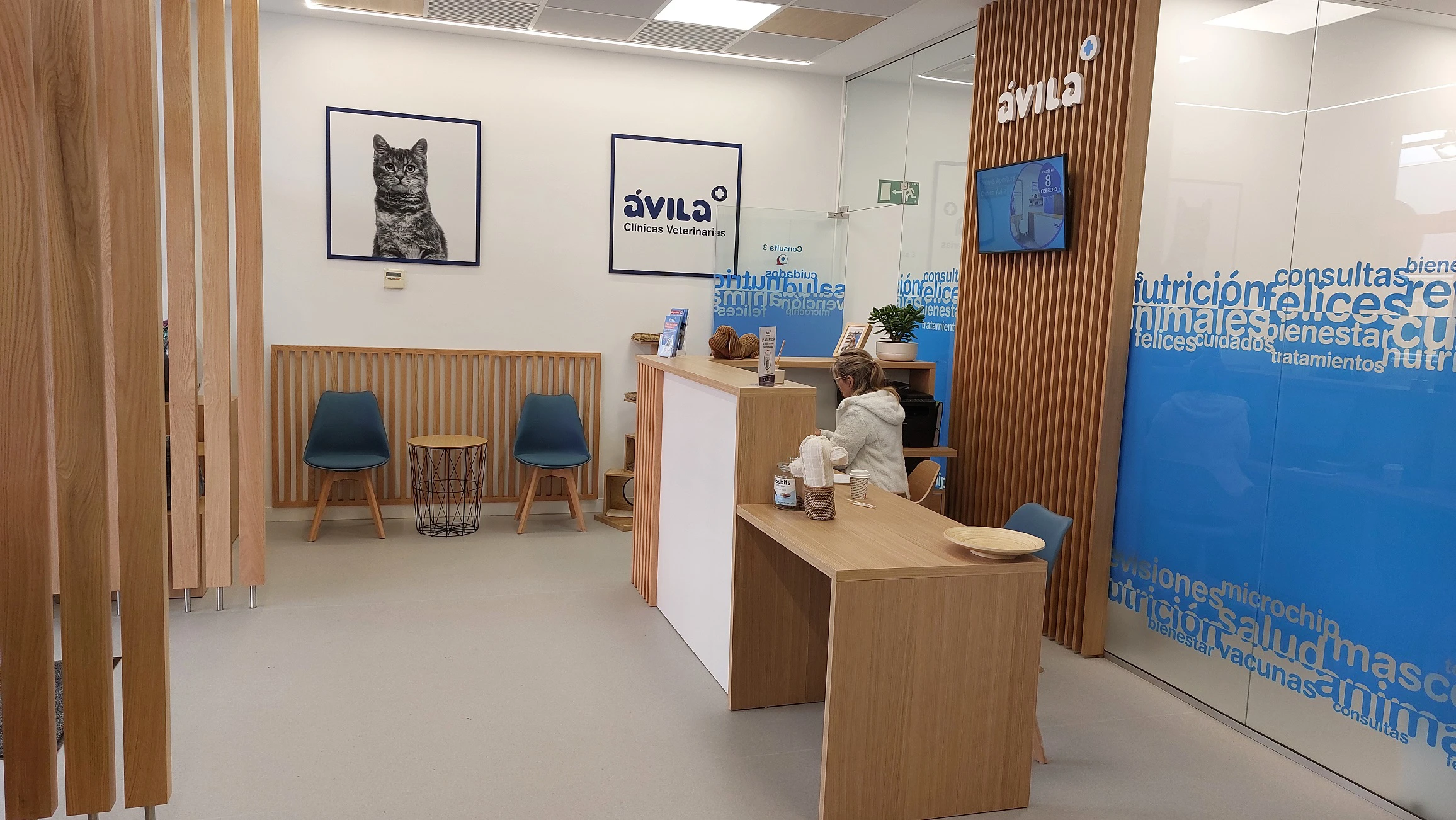 Apertura Ávila clínica veterinaria