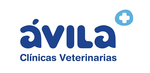 ávila clínica veterinaria
